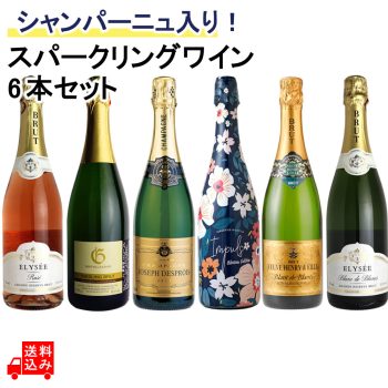スパークリングワインの最高峰シャンパーニュ入り!ハレの日におすすめ、ワンランク上のスパークリングワイン6本セット 750ml×6本
