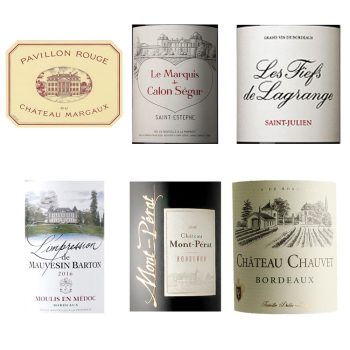 グレートヴィンテージ2016年！ボルドーワイン試飲会 6本特別セット