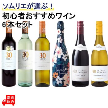 ソムリエが選ぶ! 初心者おすすめワイン6本セット 750ml×6本